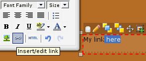 How to insert a link in my website