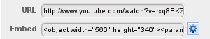 Insert a YouTube video on your website