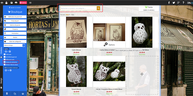 Champ de recherche pour boutique en ligne