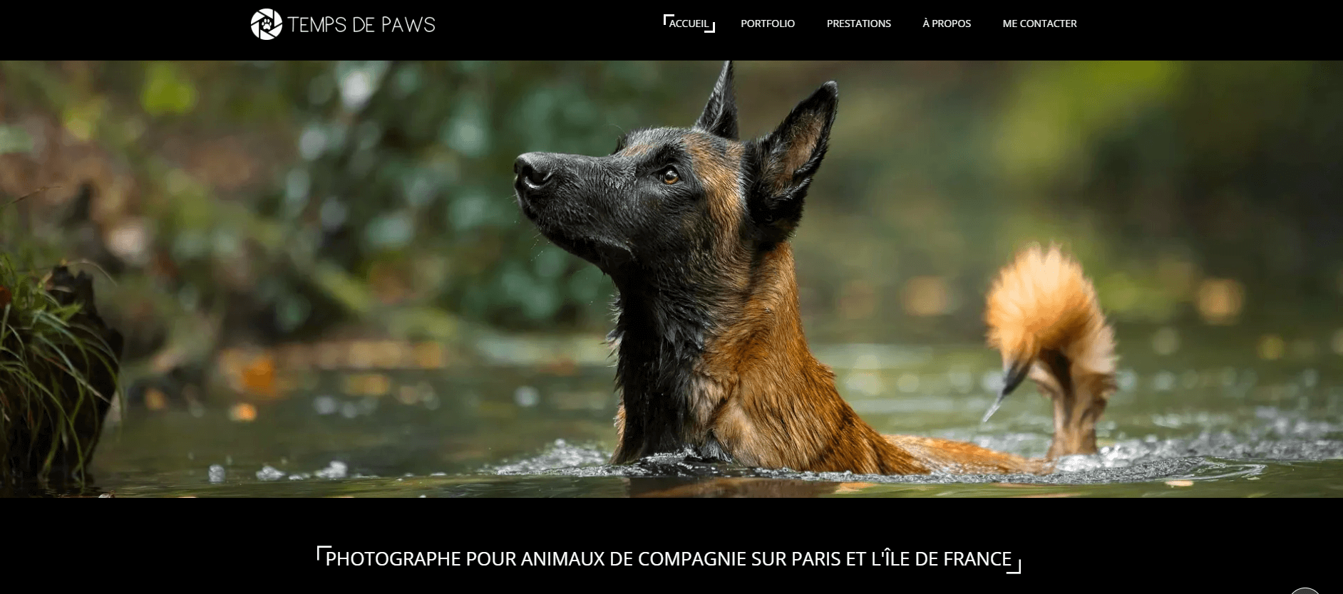 Exemple de site web créé avec SiteW : Temps de Paws