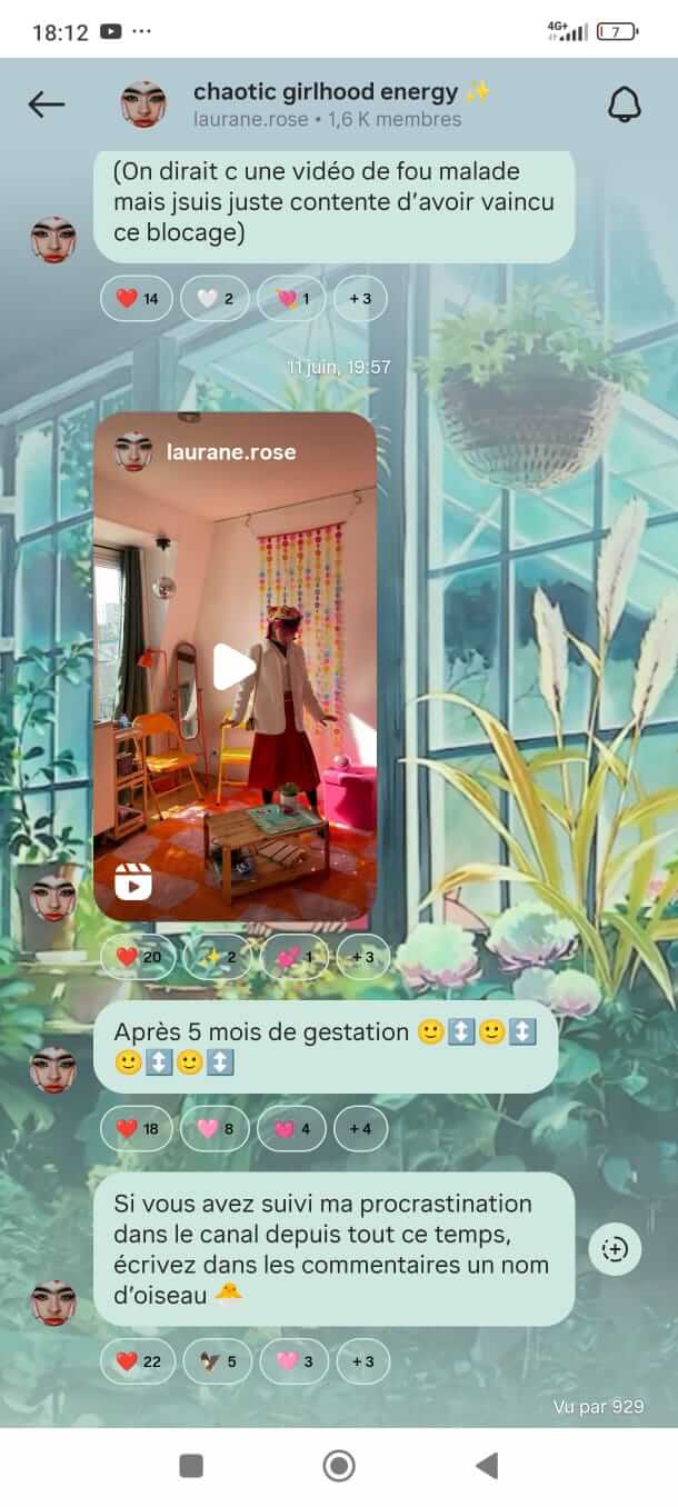 Exemple de chaîne Instagram de Laurane rose, personal blogger