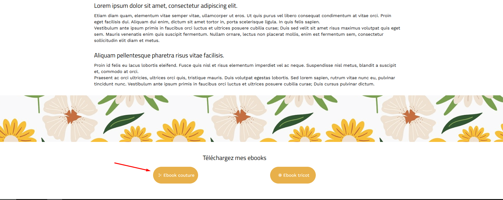 ajouter CTA sur son site bouton d'appel à l'action
