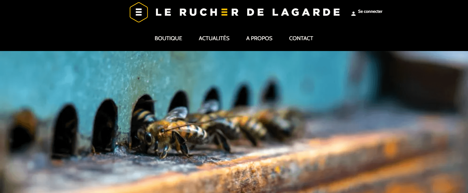 exemple de page internet construite par soi-même