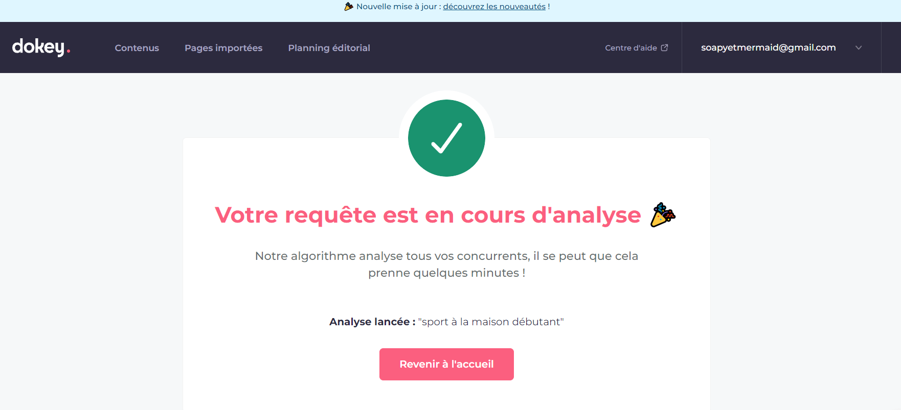 Analyse d'une requête par Dokey.io