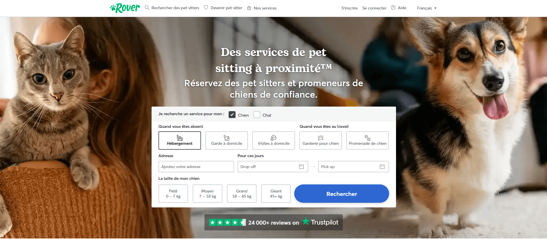 Rover, promener des chiens et gagner des revenus complémentaires Proposer des services de garde de chiens et chats avec Rover