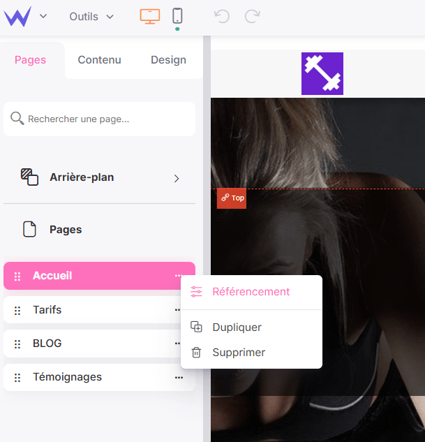 options référencement SiteW