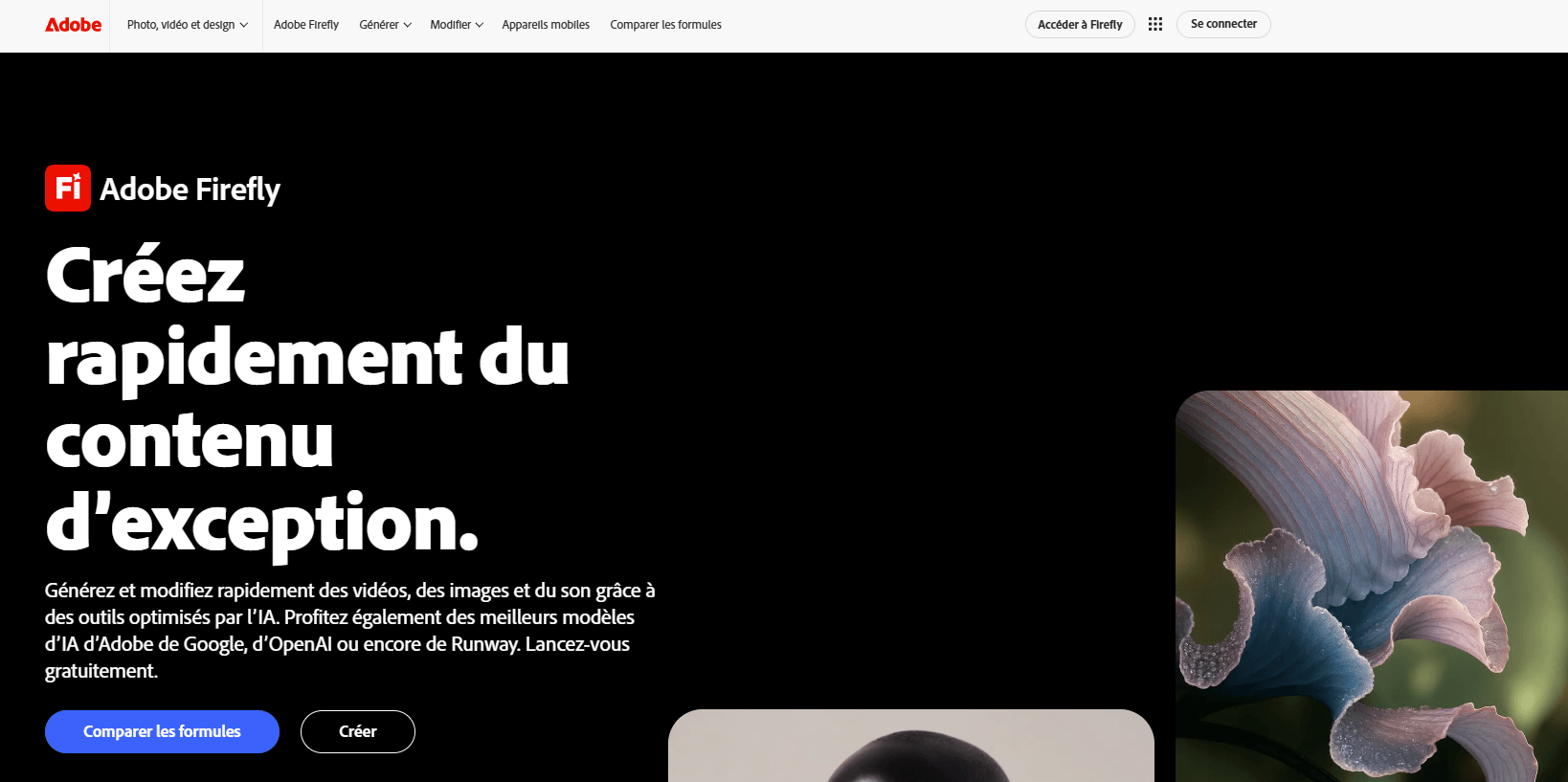 homepage Firefly Firefly