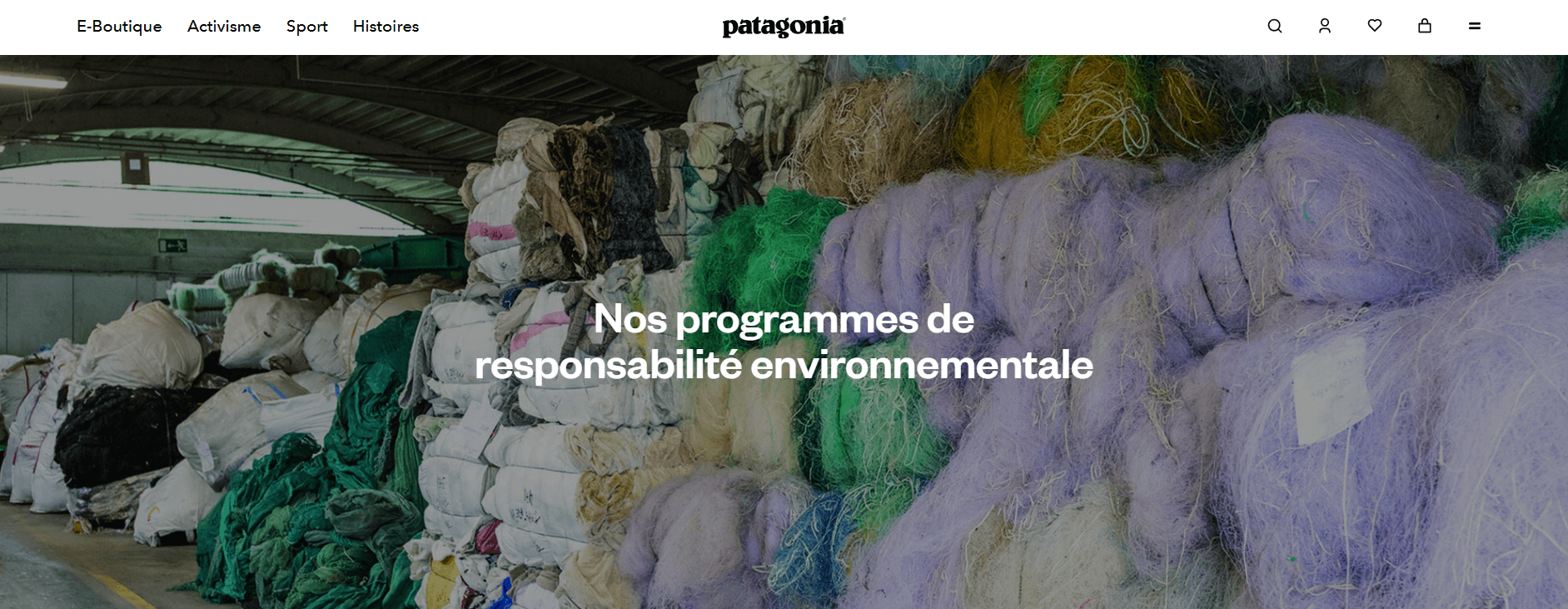 exemple de segmentation clientèle Patagonia
