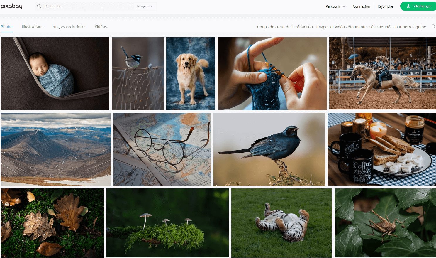 Meilleurs sites de photos gratuites : Pixabay