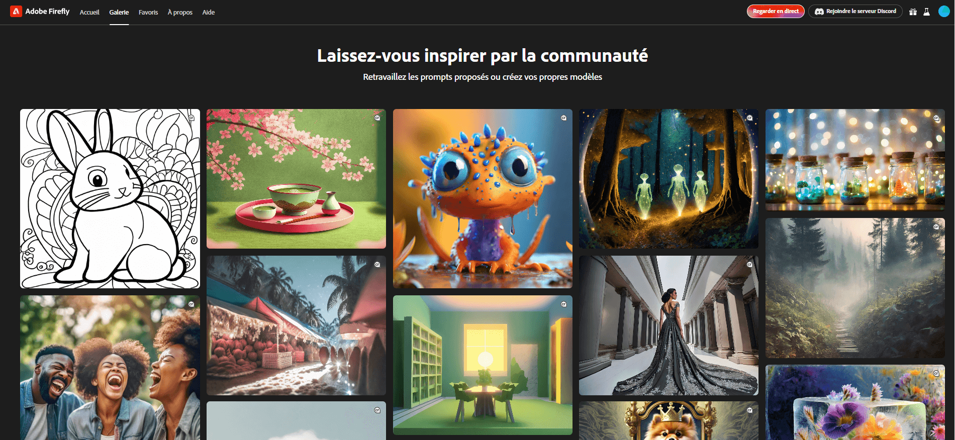 Communauté du site Firefly 2