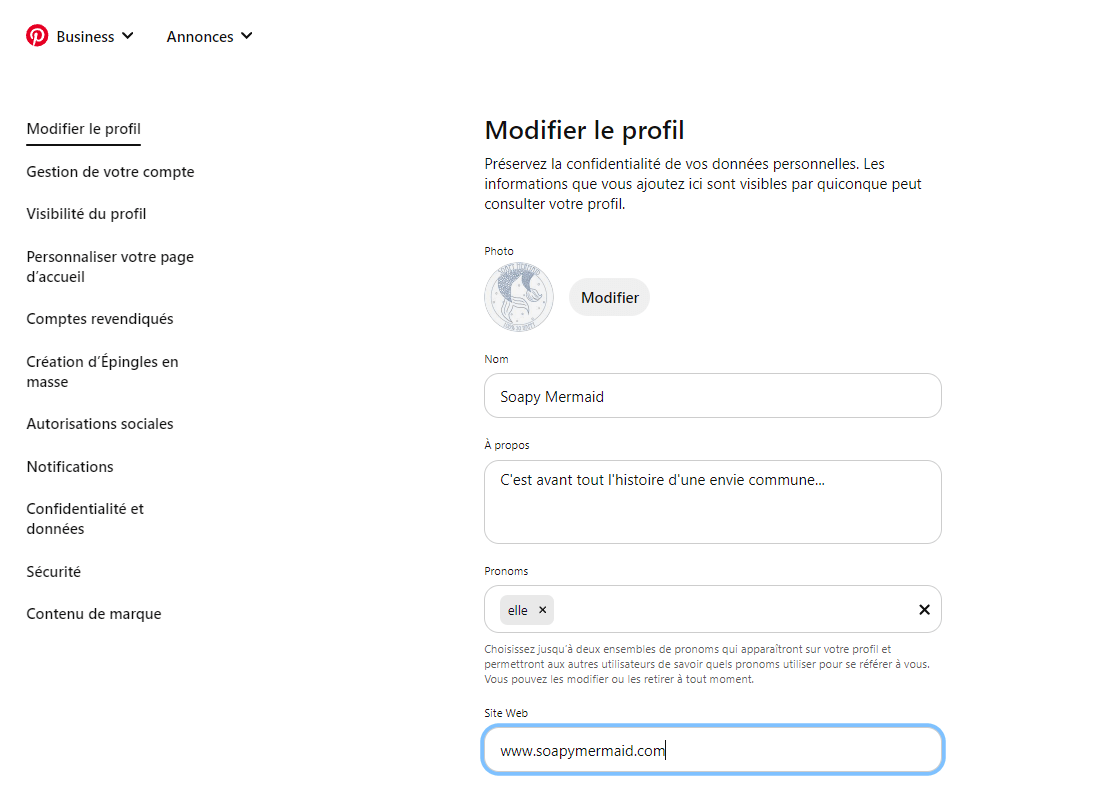Personnalisation du profil sur Pinterest