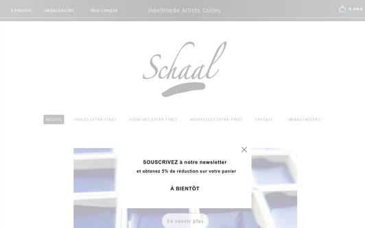 Site exemple SCHAAL ⎮ Handmade Artist&#39;s Colours