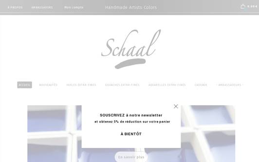 Site exemple SCHAAL ⎮ Handmade Artist&#39;s Colours