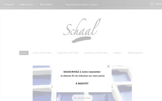Ejemplo de sitio web SCHAAL - peintures pour artistes