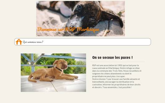 Example website RSP Martinique