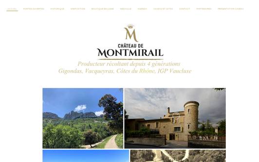 Site exemple Chateau de Montmirail