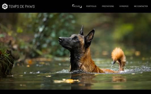 Ejemplo de sitio web Temps de Paws - Photographe animalier professionnel (chien, chat, NAC)