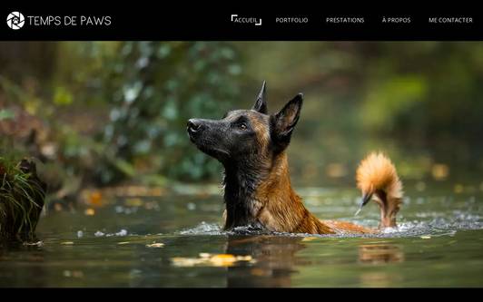 Ejemplo de sitio web Temps de Paws - Photographe animalier pour chien, chat et bien d&#39;autres