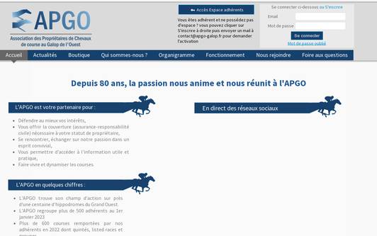 Ejemplo de sitio web Association APGO