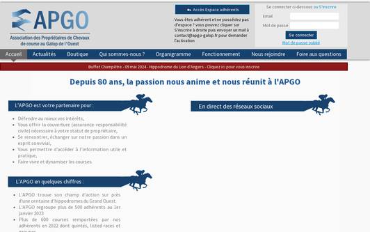 Ejemplo de sitio web Association APGO