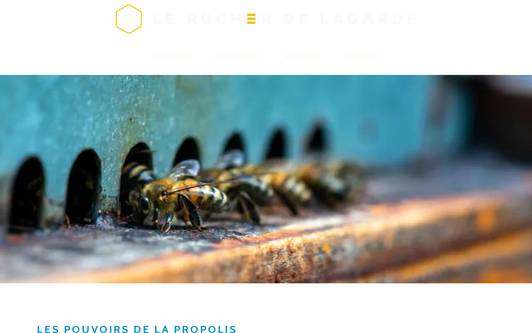 Site exemple apiculteur récoltant dans le Cantal. Miel, propolis et châtaigne